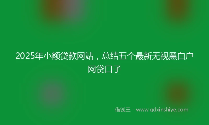 2025年小额贷款网站，总结五个最新无视黑白户网贷口子