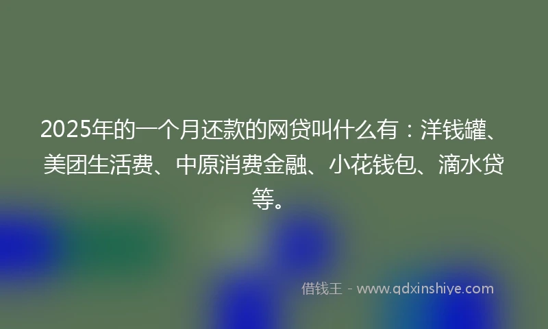 2025年的一个月还款的网贷叫什么有：洋钱罐、美团生活费、中原消费金融、小花钱包、滴水贷等。