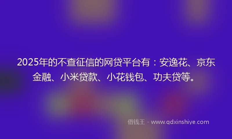 2025年的不查征信的网贷平台有：安逸花、京东金融、小米贷款、小花钱包、功夫贷等。