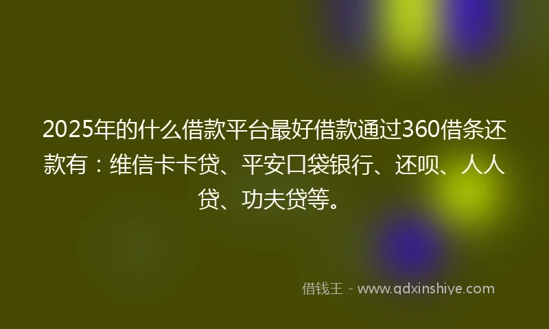 2025年的什么借款平台最好借款通过360借条还款有：维信卡卡贷、平安口袋银行、还呗、人人贷、功夫贷等。