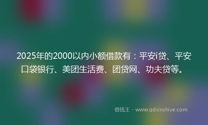 2025年的2000以内小额借款有：平安i贷、平安口袋银行、美团生活费、团贷网、功夫贷等。
