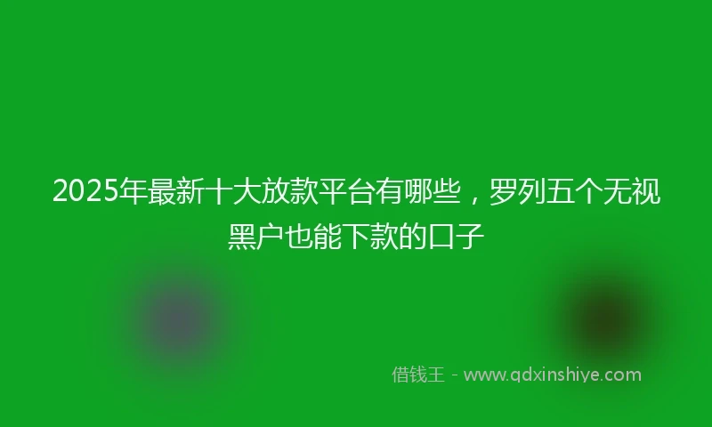 2025年最新十大放款平台有哪些，罗列五个无视黑户也能下款的口子