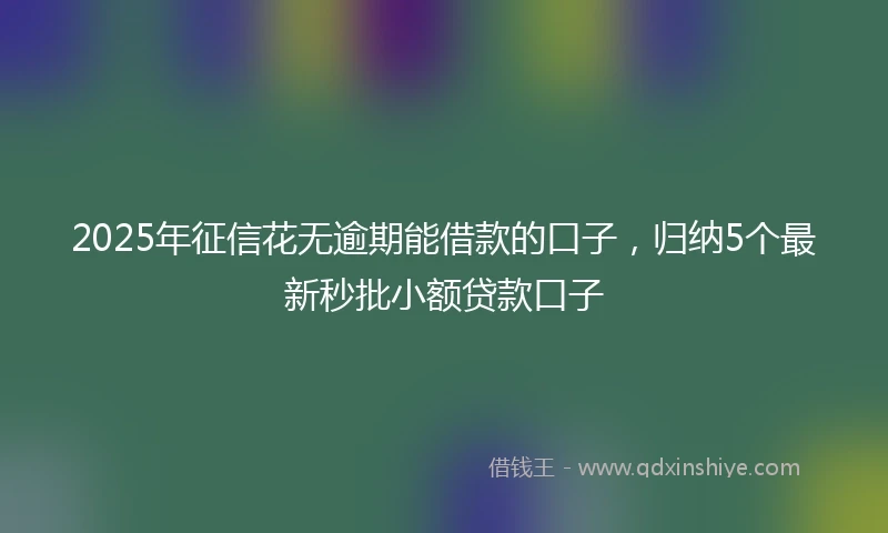 2025年征信花无逾期能借款的口子，归纳5个最新秒批小额贷款口子