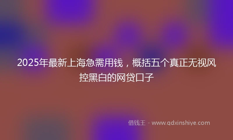 2025年最新上海急需用钱，概括五个真正无视风控黑白的网贷口子