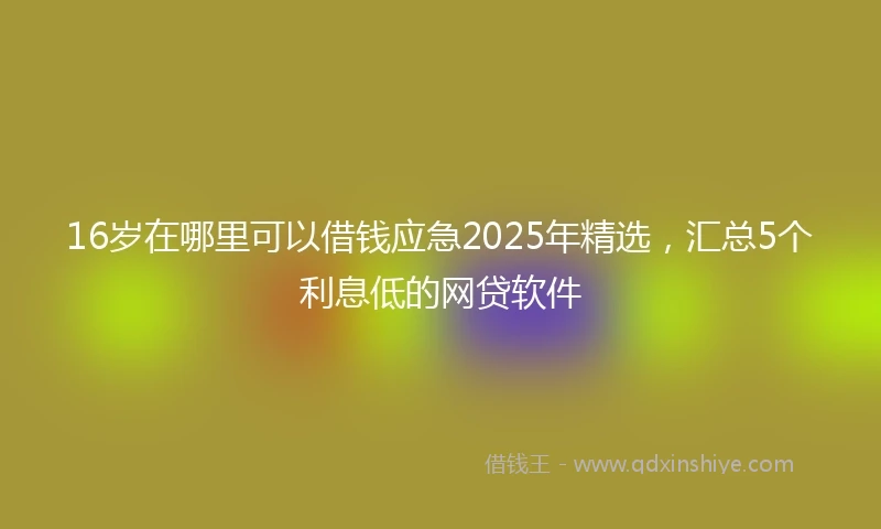 16岁在哪里可以借钱应急2025年精选，汇总5个利息低的网贷软件