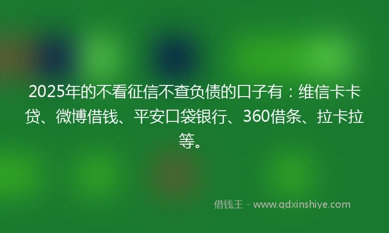 2025年的不看征信不查负债的口子有：维信卡卡贷、微博借钱、平安口袋银行、360借条、拉卡拉等。