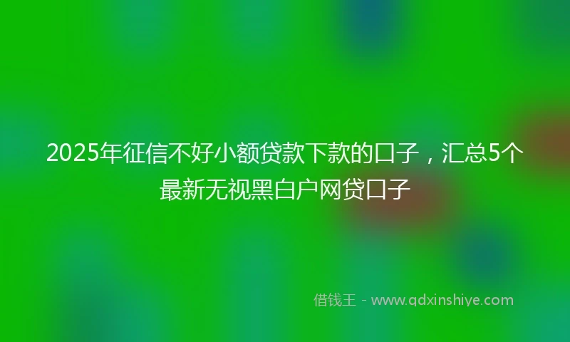 2025年征信不好小额贷款下款的口子，汇总5个最新无视黑白户网贷口子