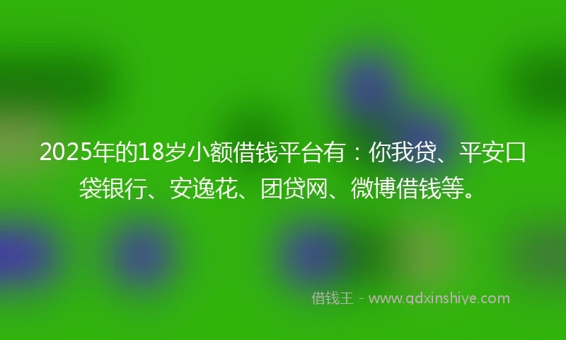 2025年的18岁小额借钱平台有：你我贷、平安口袋银行、安逸花、团贷网、微博借钱等。
