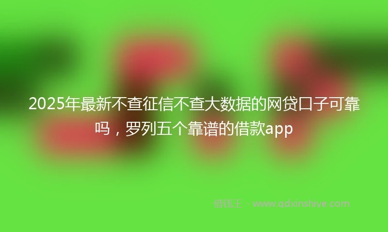 2025年最新不查征信不查大数据的网贷口子可靠吗，罗列五个靠谱的借款app