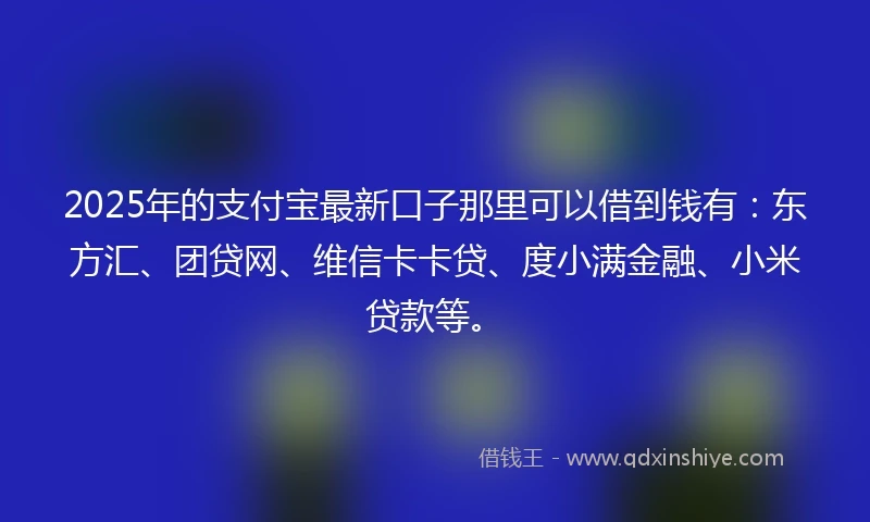 2025年的支付宝最新口子那里可以借到钱有：东方汇、团贷网、维信卡卡贷、度小满金融、小米贷款等。