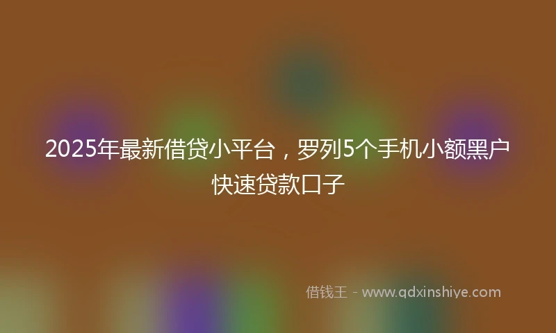 2025年最新借贷小平台，罗列5个手机小额黑户快速贷款口子
