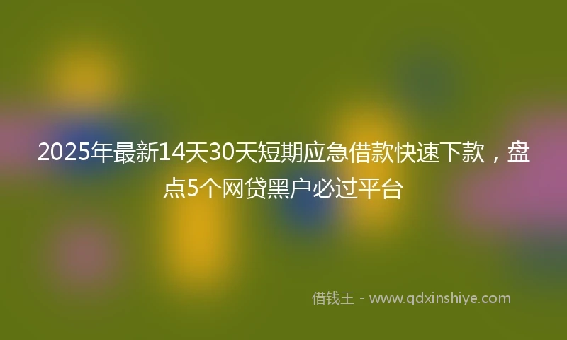 2025年最新14天30天短期应急借款快速下款，盘点5个网贷黑户必过平台