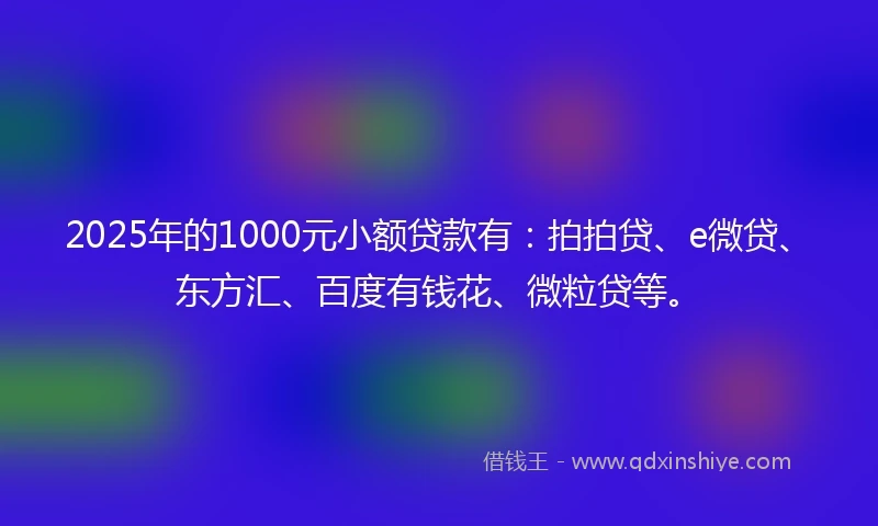 2025年的1000元小额贷款有：拍拍贷、e微贷、东方汇、百度有钱花、微粒贷等。