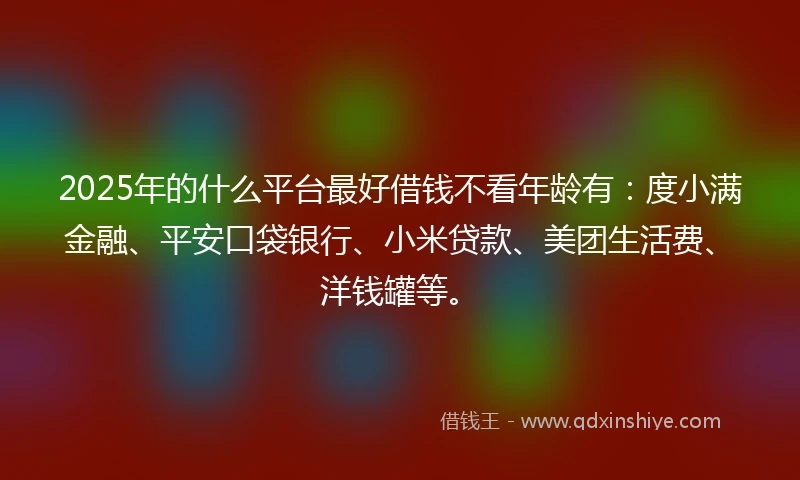 2025年的什么平台最好借钱不看年龄有：度小满金融、平安口袋银行、小米贷款、美团生活费、洋钱罐等。