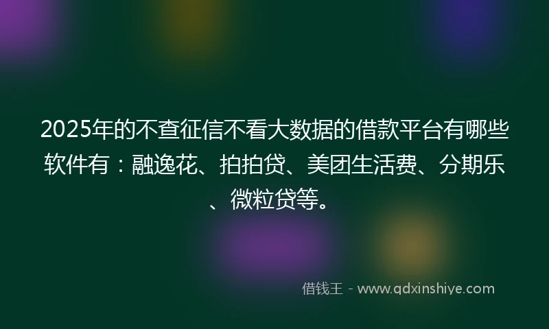 2025年的不查征信不看大数据的借款平台有哪些软件有：融逸花、拍拍贷、美团生活费、分期乐、微粒贷等。