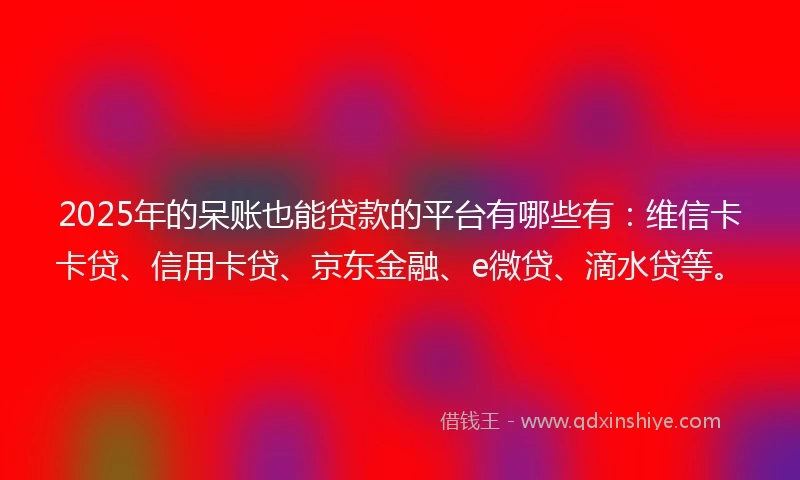 2025年的呆账也能贷款的平台有哪些有：维信卡卡贷、信用卡贷、京东金融、e微贷、滴水贷等。