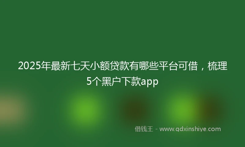 2025年最新七天小额贷款有哪些平台可借，梳理5个黑户下款app