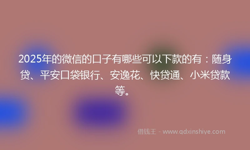 2025年的微信的口子有哪些可以下款的有：随身贷、平安口袋银行、安逸花、快贷通、小米贷款等。