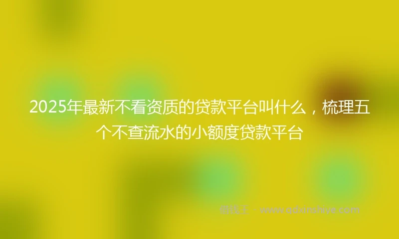 2025年最新不看资质的贷款平台叫什么，梳理五个不查流水的小额度贷款平台