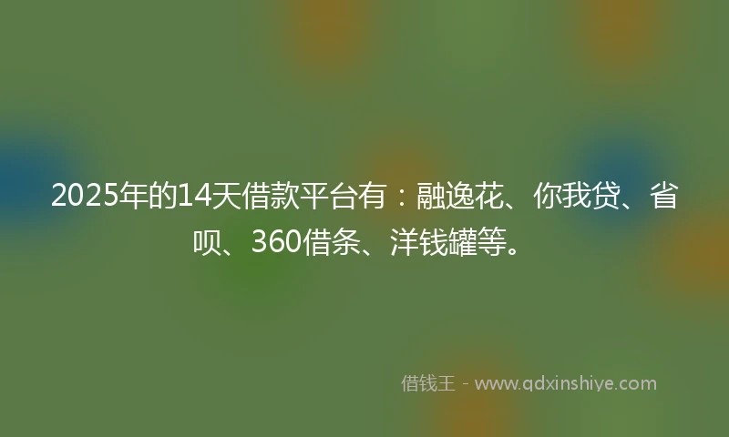 2025年的14天借款平台有：融逸花、你我贷、省呗、360借条、洋钱罐等。