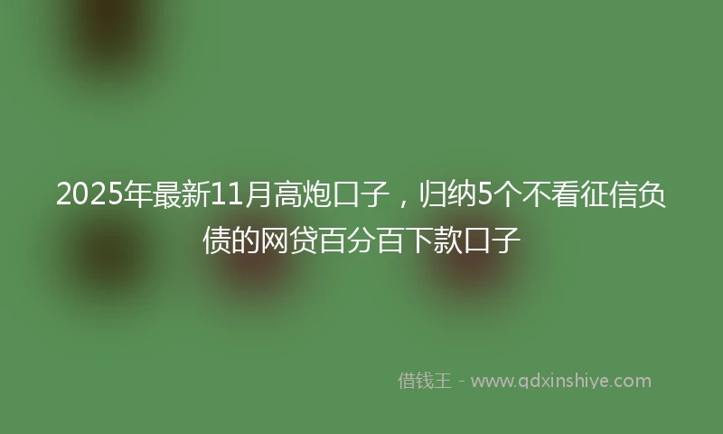 2025年最新11月高炮口子，归纳5个不看征信负债的网贷百分百下款口子