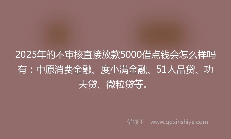 2025年的不审核直接放款5000借点钱会怎么样吗有：中原消费金融、度小满金融、51人品贷、功夫贷、微粒贷等。