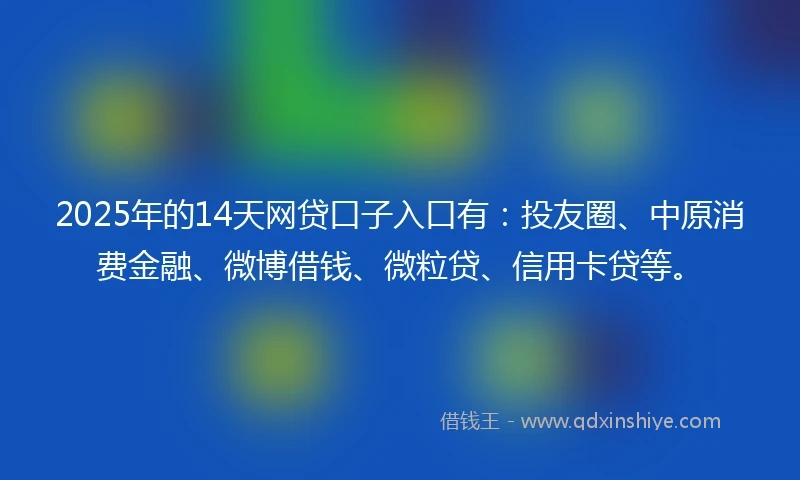 2025年的14天网贷口子入口有：投友圈、中原消费金融、微博借钱、微粒贷、信用卡贷等。