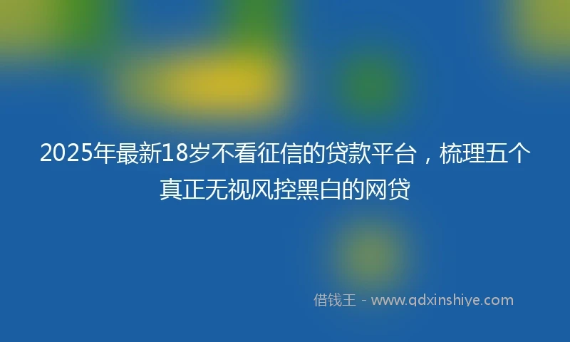 2025年最新18岁不看征信的贷款平台，梳理五个真正无视风控黑白的网贷