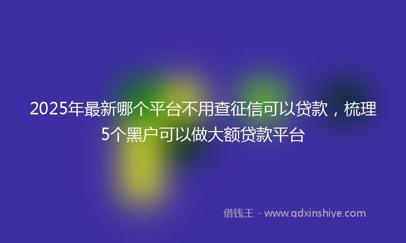 2025年最新哪个平台不用查征信可以贷款，梳理5个黑户可以做大额贷款平台