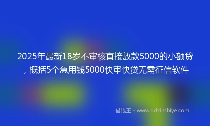 2025年最新18岁不审核直接放款5000的小额贷，概括5个急用钱5000快审快贷无需征信软件