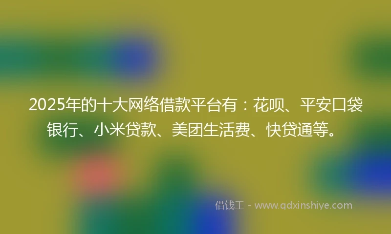2025年的十大网络借款平台有：花呗、平安口袋银行、小米贷款、美团生活费、快贷通等。