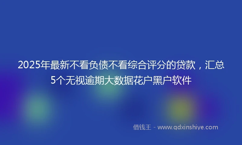 2025年最新不看负债不看综合评分的贷款，汇总5个无视逾期大数据花户黑户软件