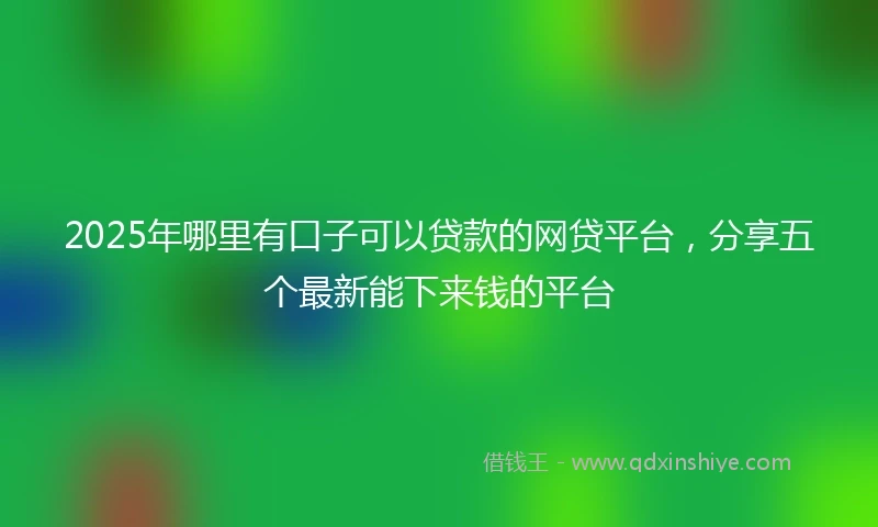 2025年哪里有口子可以贷款的网贷平台，分享五个最新能下来钱的平台