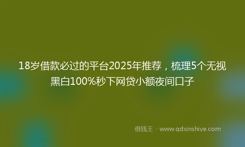 18岁借款必过的平台2025年推荐，梳理5个无视黑白100%秒下网贷小额夜间口子