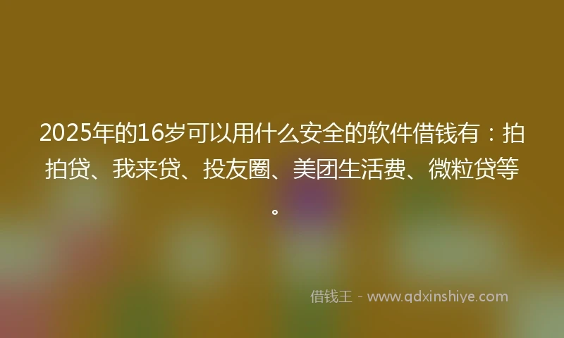 2025年的16岁可以用什么安全的软件借钱有：拍拍贷、我来贷、投友圈、美团生活费、微粒贷等。