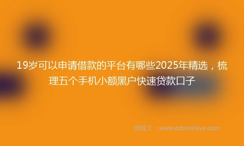 19岁可以申请借款的平台有哪些2025年精选，梳理五个手机小额黑户快速贷款口子