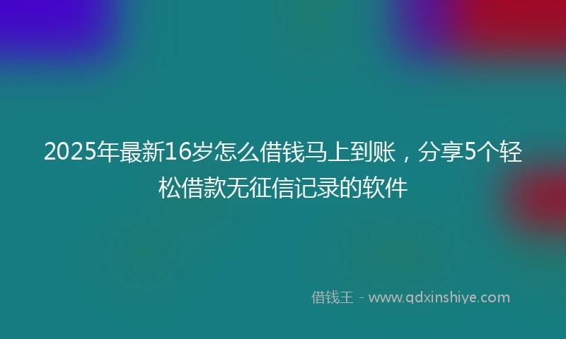 2025年最新16岁怎么借钱马上到账，分享5个轻松借款无征信记录的软件