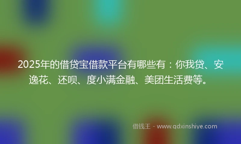 2025年的借贷宝借款平台有哪些有：你我贷、安逸花、还呗、度小满金融、美团生活费等。