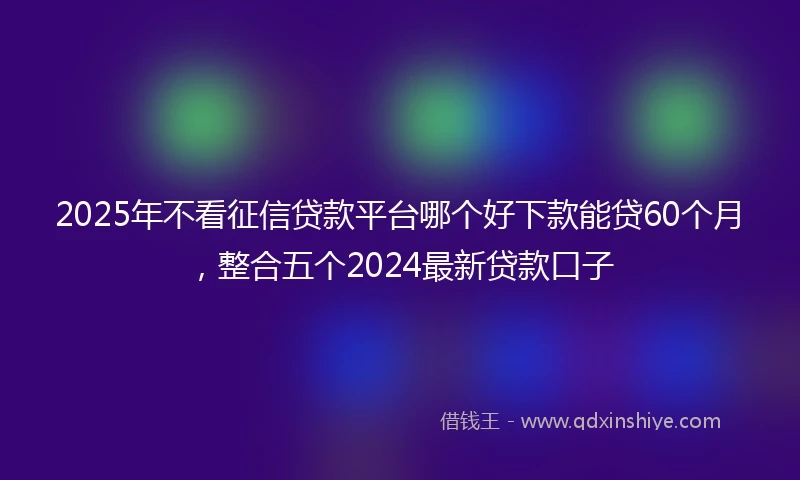 2025年不看征信贷款平台哪个好下款能贷60个月，整合五个2024最新贷款口子