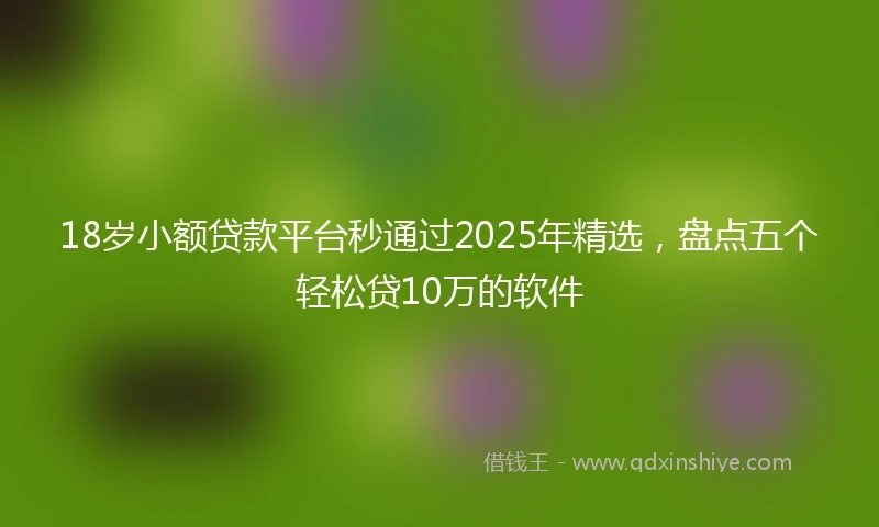 18岁小额贷款平台秒通过2025年精选，盘点五个轻松贷10万的软件
