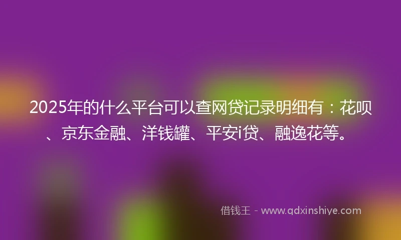 2025年的什么平台可以查网贷记录明细有：花呗、京东金融、洋钱罐、平安i贷、融逸花等。