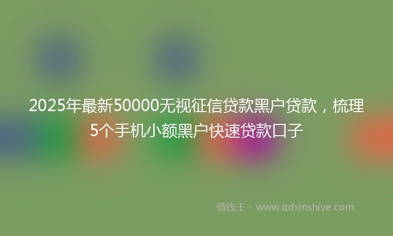 2025年最新50000无视征信贷款黑户贷款，梳理5个手机小额黑户快速贷款口子