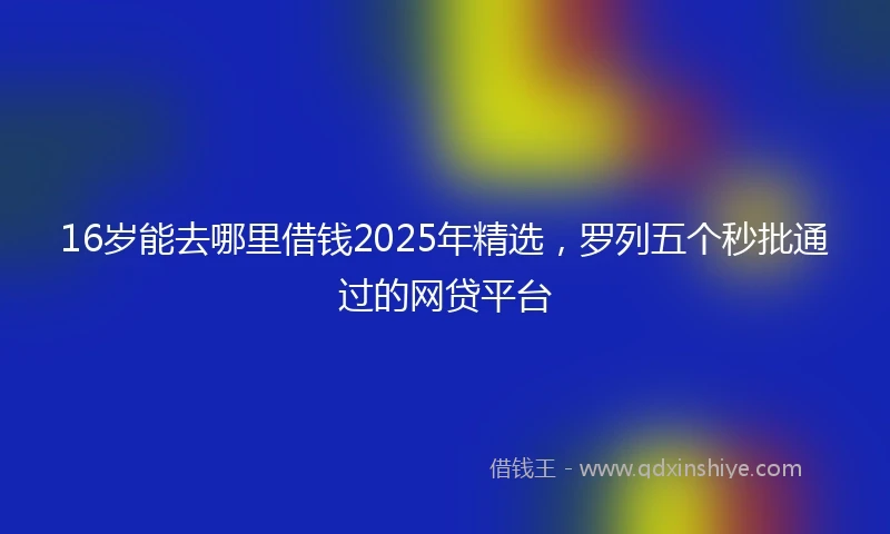16岁能去哪里借钱2025年精选，罗列五个秒批通过的网贷平台