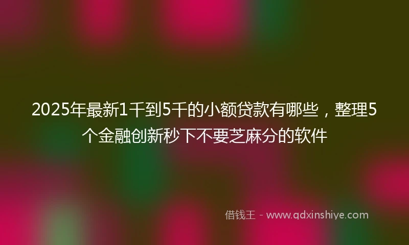 2025年最新1千到5千的小额贷款有哪些，整理5个金融创新秒下不要芝麻分的软件
