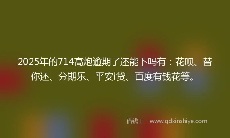 2025年的714高炮逾期了还能下吗有：花呗、替你还、分期乐、平安i贷、百度有钱花等。