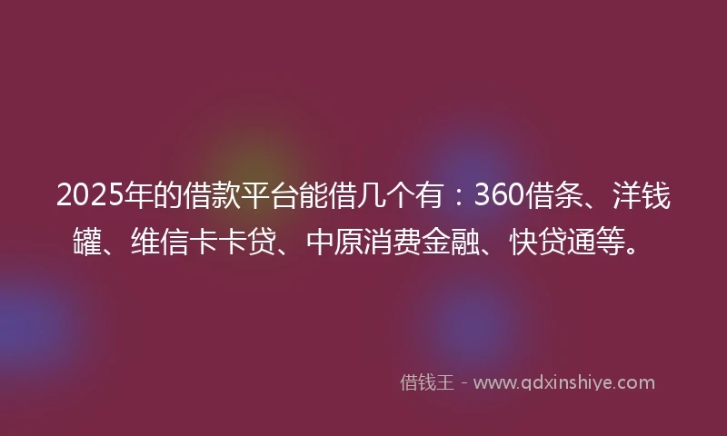 2025年的借款平台能借几个有：360借条、洋钱罐、维信卡卡贷、中原消费金融、快贷通等。