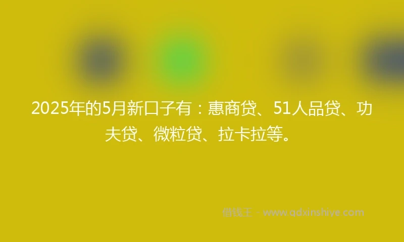2025年的5月新口子有：惠商贷、51人品贷、功夫贷、微粒贷、拉卡拉等。