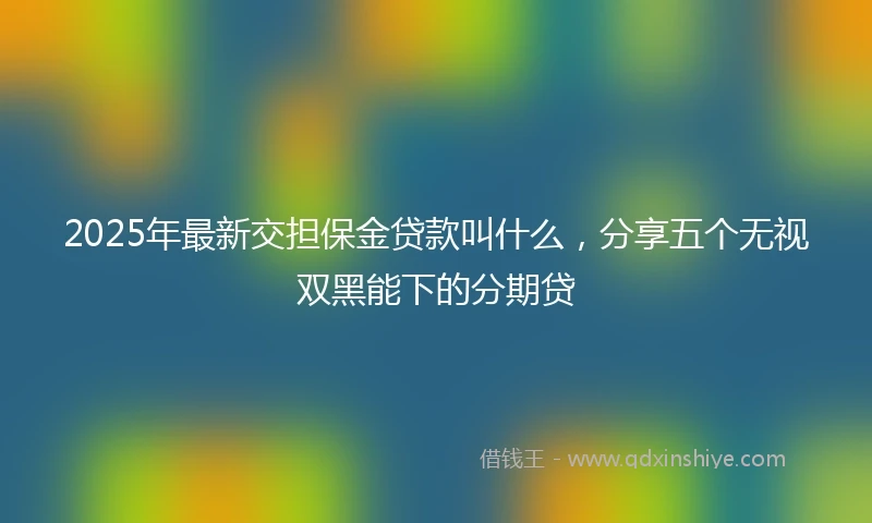 2025年最新交担保金贷款叫什么，分享五个无视双黑能下的分期贷