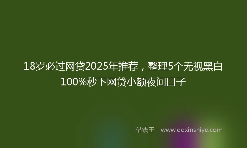 18岁必过网贷2025年推荐，整理5个无视黑白100%秒下网贷小额夜间口子