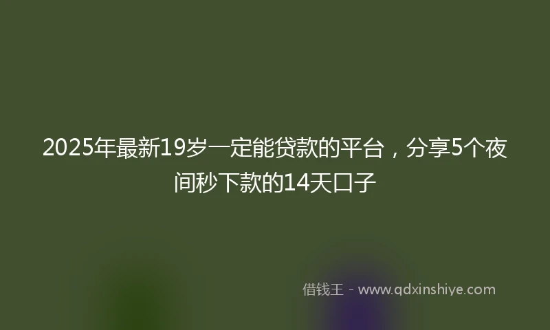 2025年最新19岁一定能贷款的平台，分享5个夜间秒下款的14天口子